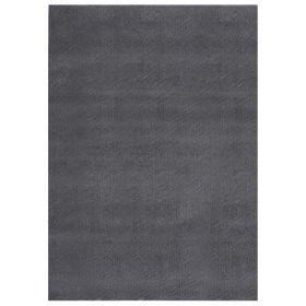 Washable Rug Fluffy Short Pile 63"x90.6" Anti Slip Anthracite - Anthracite