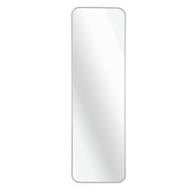 Silver 47 x 14IN Door mirror - as Pic