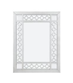 ACME Varian Mirror, Mirrored & Antique Platinum 66158 - as Pic