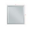 ACME Louis Philippe Mirror in Platinum 26734 - as Pic