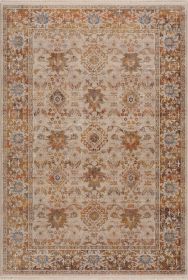 Stylish Classic Pattern Design Vintage Bohemian Southwestern Sierra Area Rug - Ivory|Beige - 7'9" X 10'