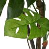 Artificial Monstera Plant with Pot 67" Green - Green