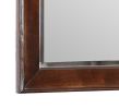 Glory Furniture Triton G9000-M Mirror , Cappuccino - as Pic