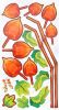 Harvest Time - Wall Decals Stickers Appliques Home Decor - HEMU-HL-1264