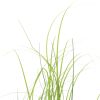 Artificial Grass Plant Green 37.4" - Green