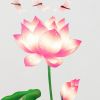 Elegant Miss Lotus - Wall Decals Stickers Appliques Home Dcor - HEMU-AM-029