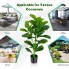 2-Pack Artificial Fiddle Leaf Fig Tree - Green