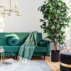 6 Feet Artificial Ficus Silk Tree - green