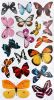 Butterflies - Wall Decals Stickers Appliques Home Decor - HEMU-HL-920