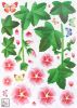 Morning Glory - Large Wall Decals Stickers Appliques Home Decor - HEMU-XS-051