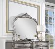 ACME Ausonia Mirror, Antique Platinum Finish BD00605 - as Pic