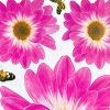 Delightful Petals - Wall Decals Stickers Appliques Home Decor - HEMU-HL-1306