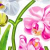 Aromatic Flowers - Wall Decals Stickers Appliques Home Decor - HEMU-HL-1253