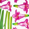 Gorgeous Flowers - Wall Decals Stickers Appliques Home Decor - HEMU-LD-8029