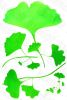 Green World - Wall Decals Stickers Appliques Home Dcor - HEMU-XY-1085