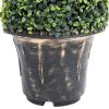 Artificial Boxwood Spiral Plant with Pot Green 23.2" - Green