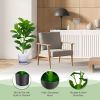 2-Pack Artificial Fiddle Leaf Fig Tree - Green