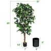 6 Feet Artificial Ficus Silk Tree - green