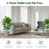 2-Pack Artificial Fiddle Leaf Fig Tree - Green