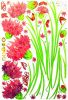 Carnation's Dream - Wall Decals Stickers Appliques Home Dcor - HEMU-AM-9024