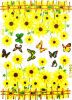 Colorful Butterfly and Blooming Flowers - Wall Decals Stickers Appliques Home Dcor - HEMU-AM-811