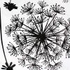 Flying Dandelion - Large Wall Decals Stickers Appliques Home Decor - HEMU-HL-5869