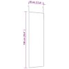 Door Mirror Black 11.8"x39.4" Glass and Aluminum - Black