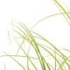 Artificial Grass Plant 31.5" - Brown