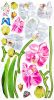 Aromatic Flowers - Wall Decals Stickers Appliques Home Decor - HEMU-HL-1253