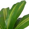 Artificial Dracaena Plant with Pot 35.4" Green - Multicolour